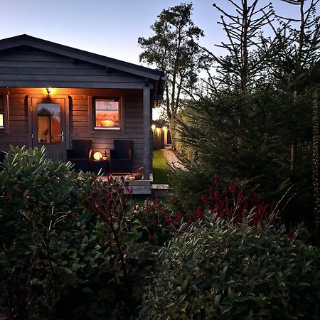Chalet In Het Groen Met Airco Drachtstercompagnie Zewnętrze zdjęcie