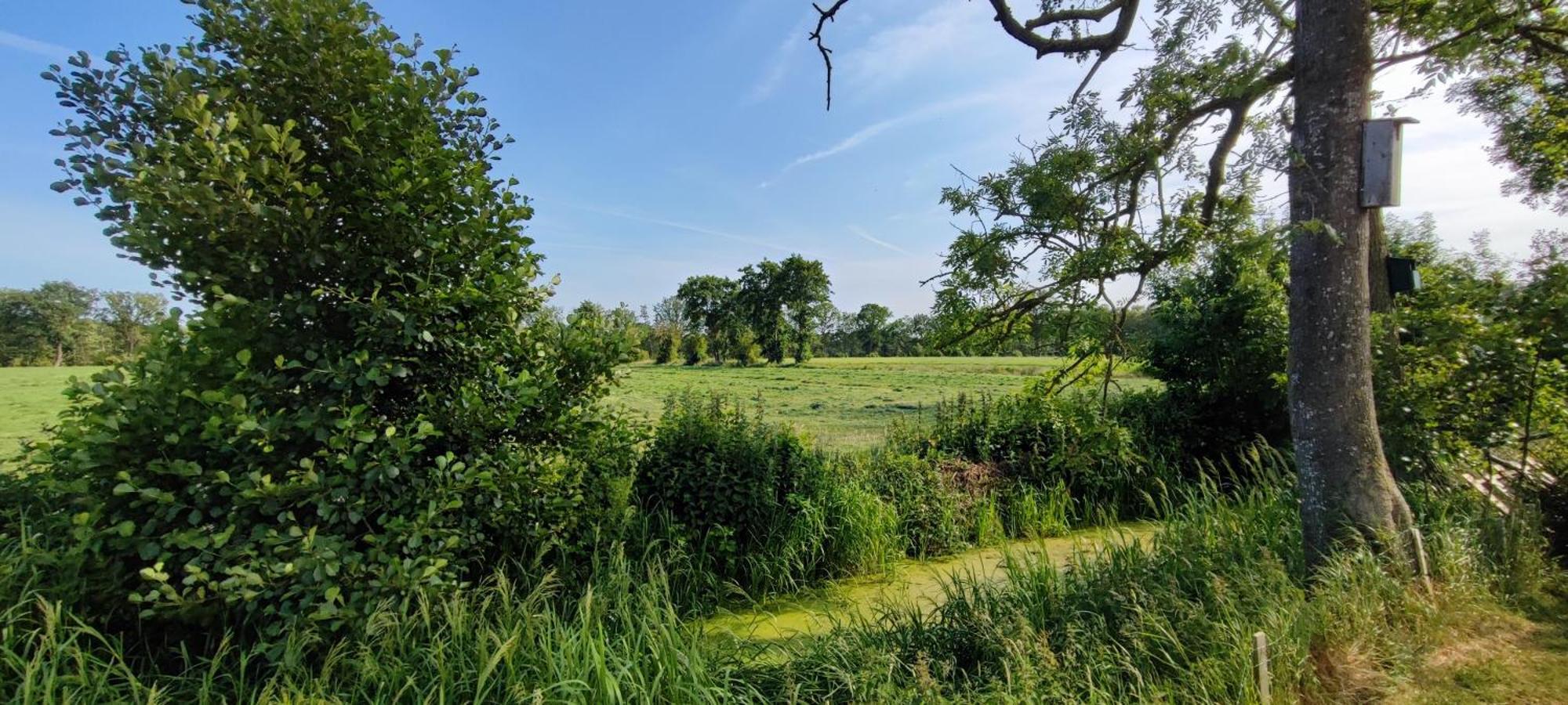 Chalet In Het Groen Met Airco Drachtstercompagnie Zewnętrze zdjęcie
